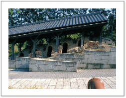 2000�N�@�v�q�̗�